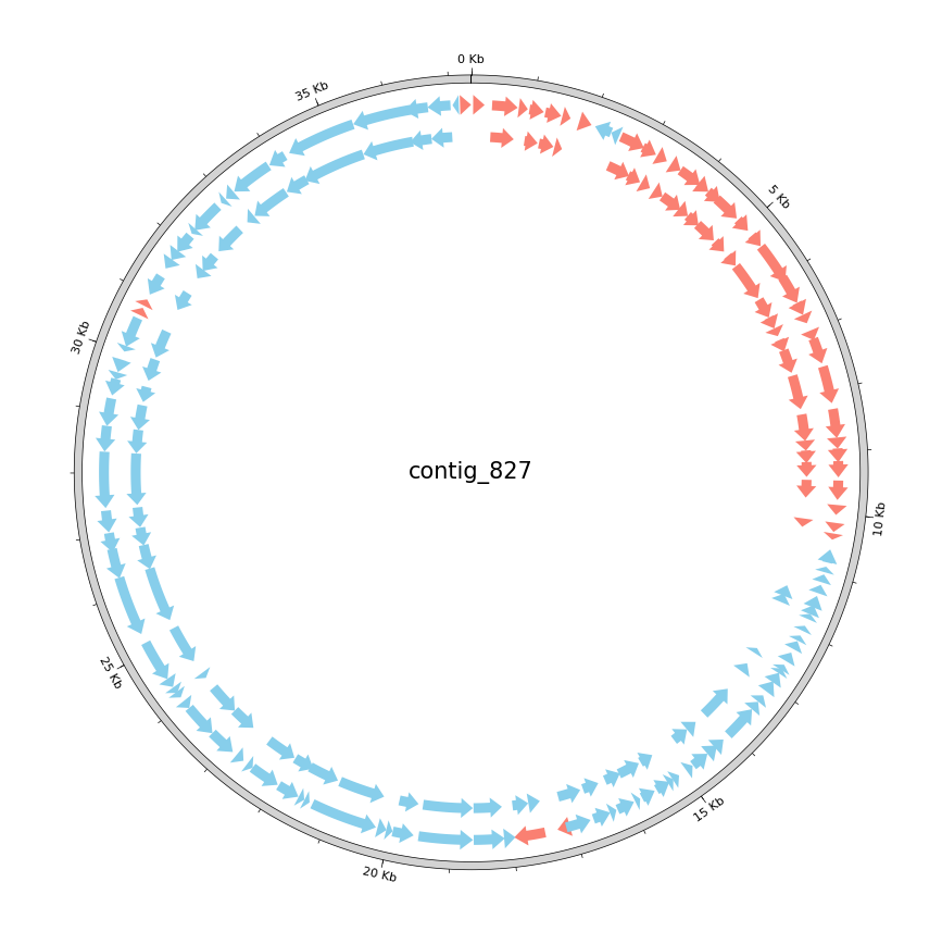 Compare ORF Predictions