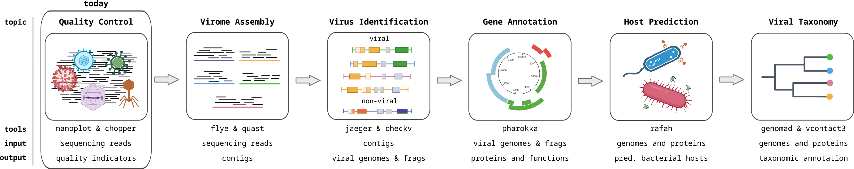 Viromics workflow