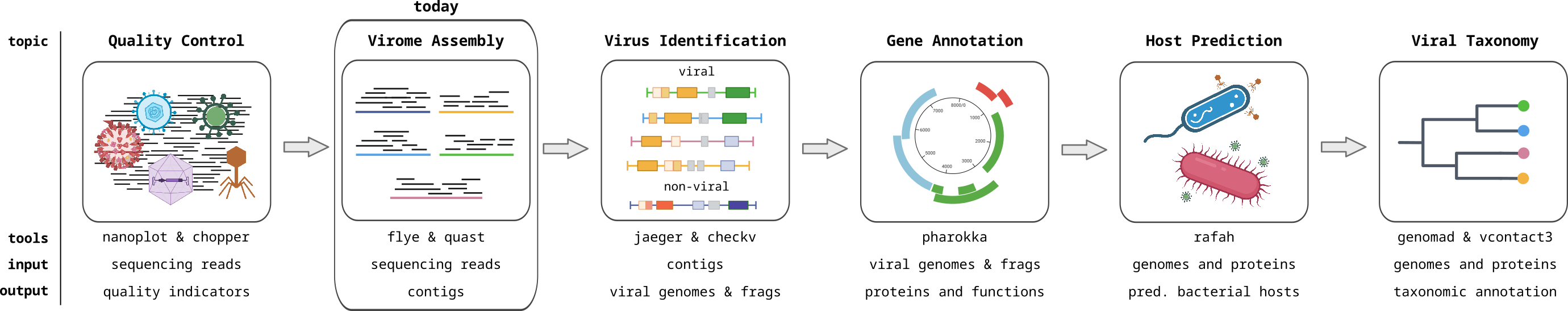 Viromics workflow