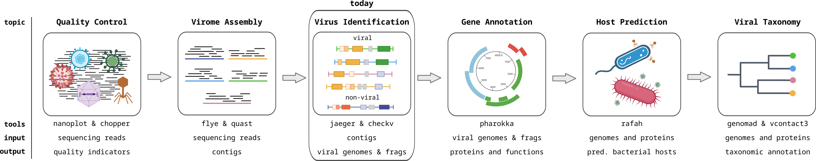 Viromics workflow