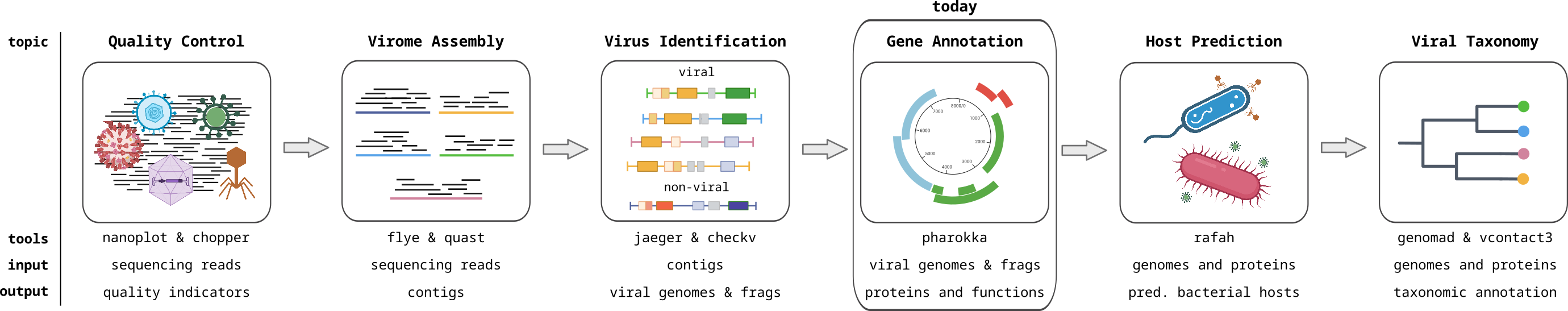 Viromics workflow