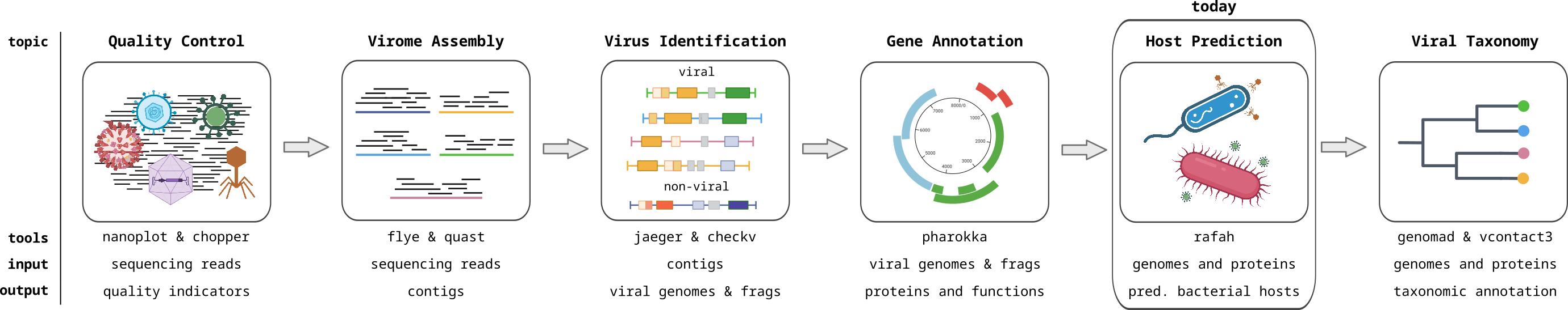 Viromics workflow