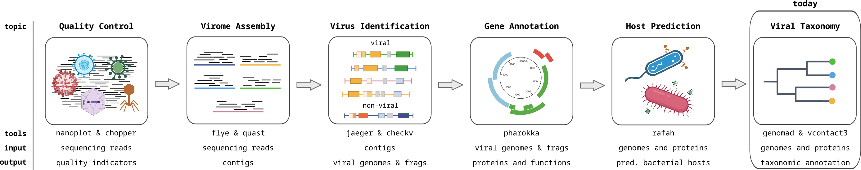 Viromics workflow