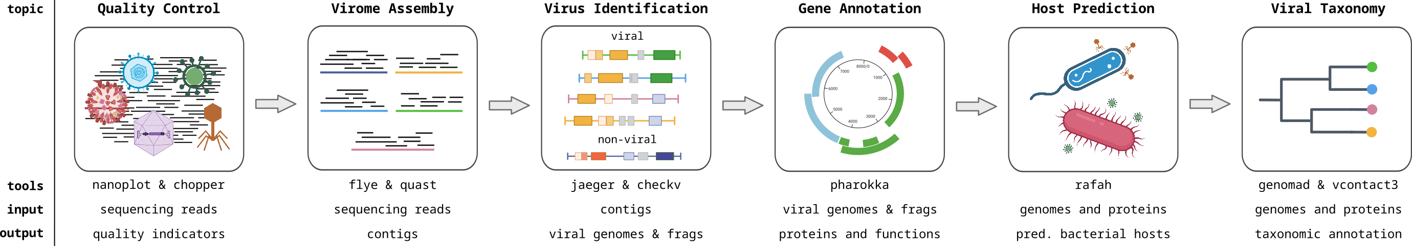 Viromics workflow