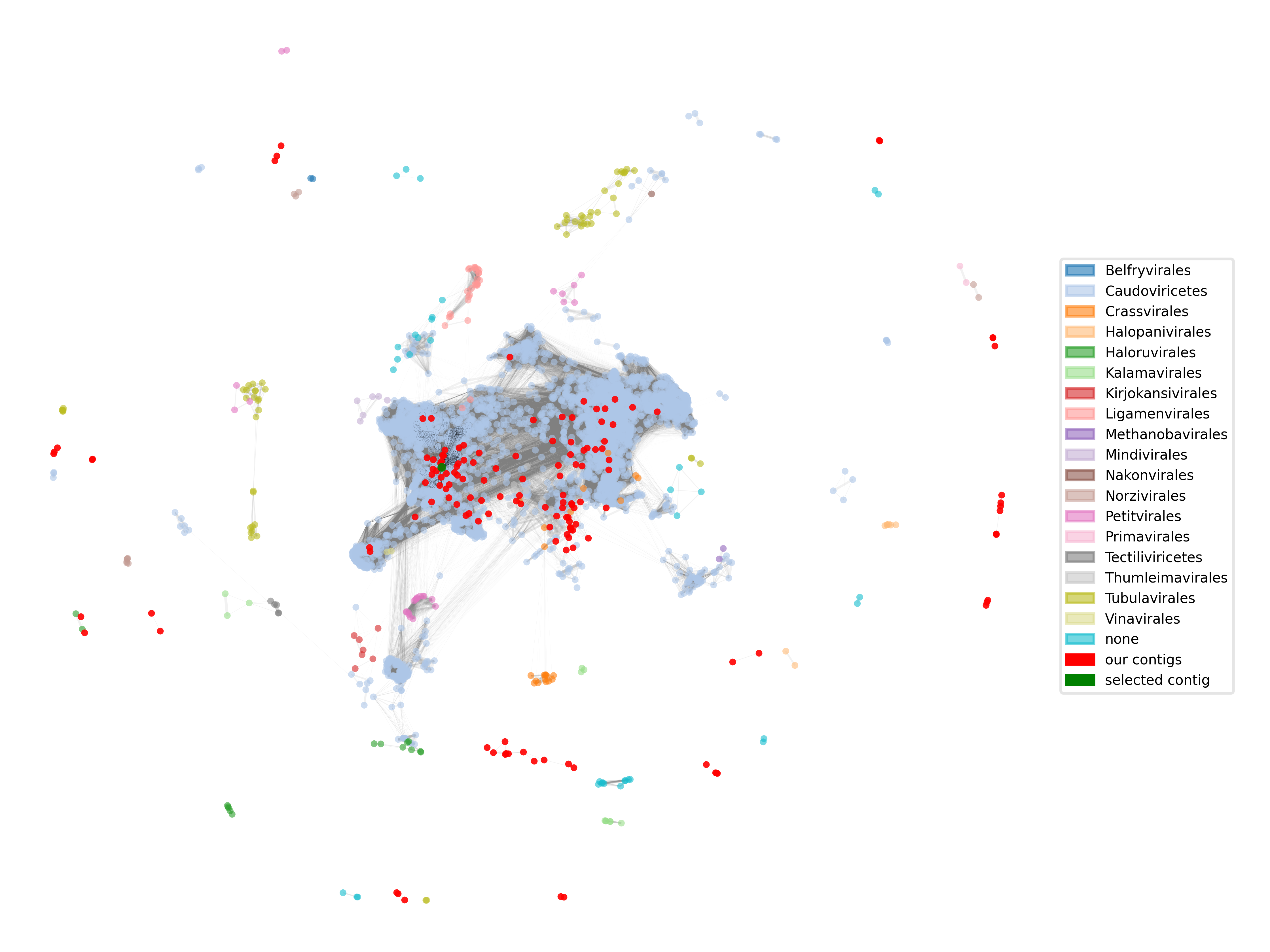 Network of all phages