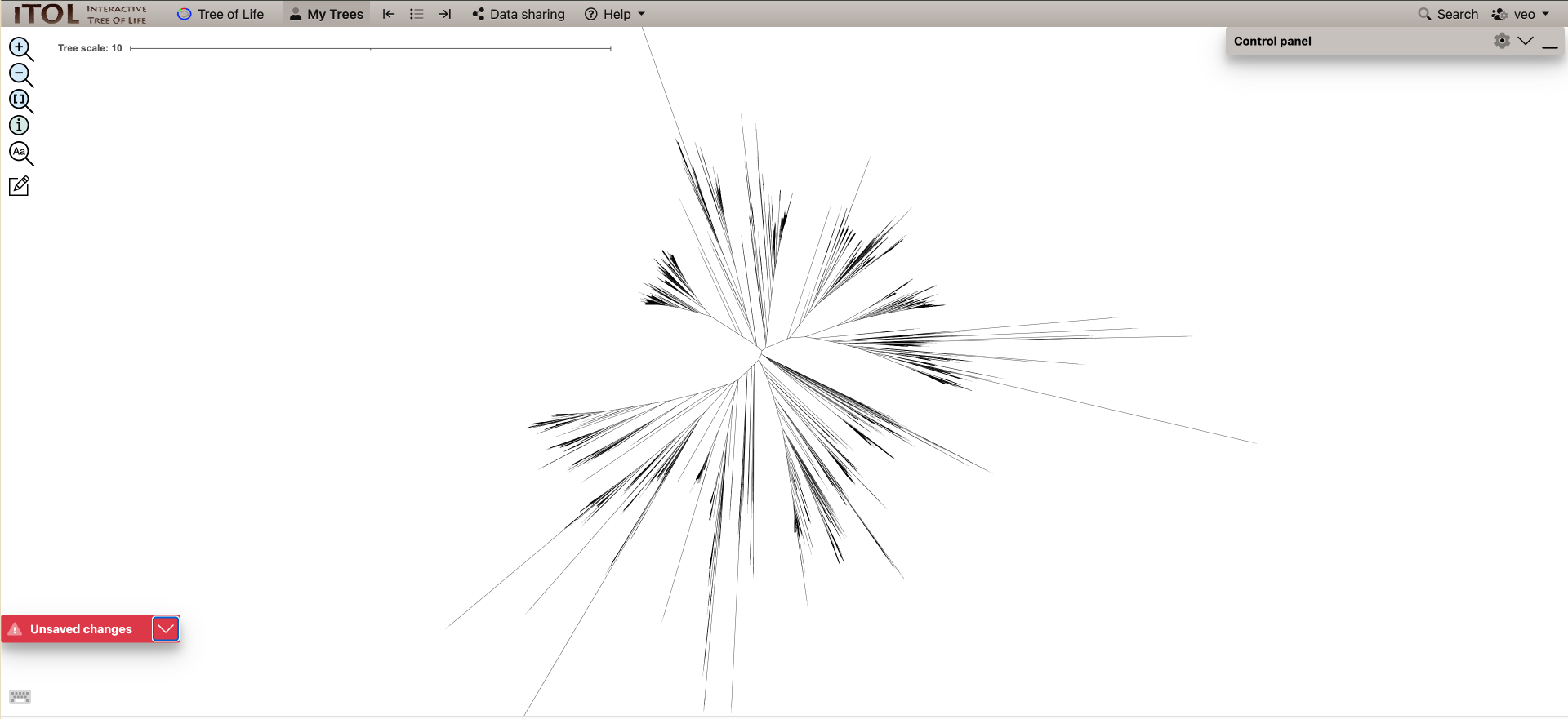 example_unrooted_terL