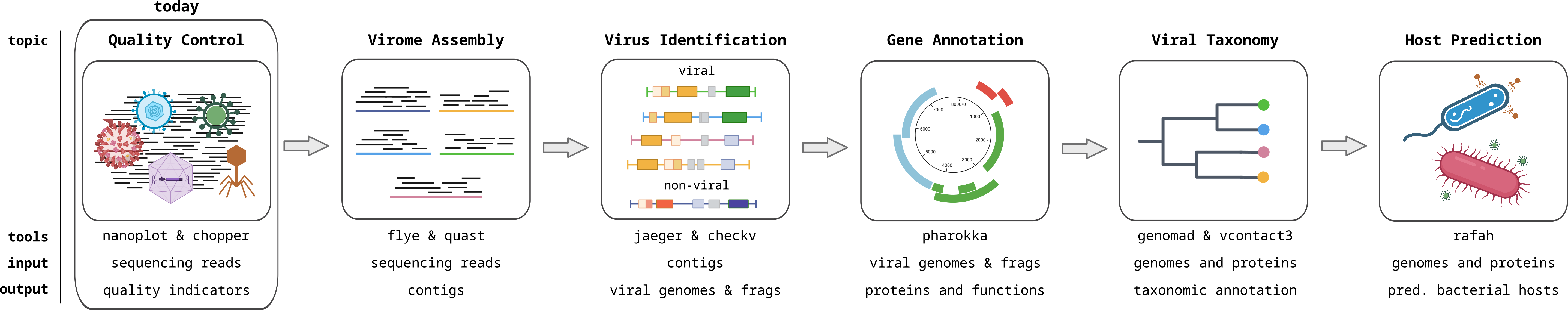 Viromics workflow