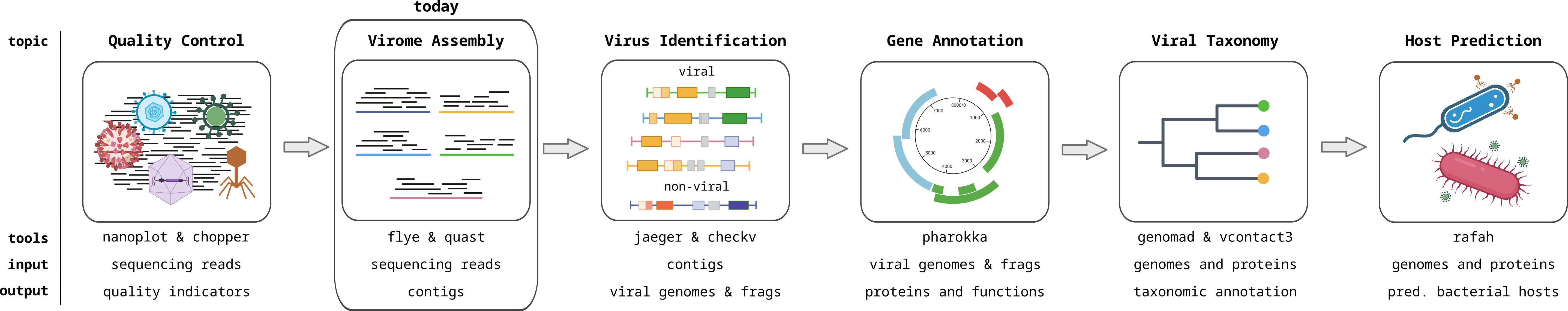 Viromics workflow