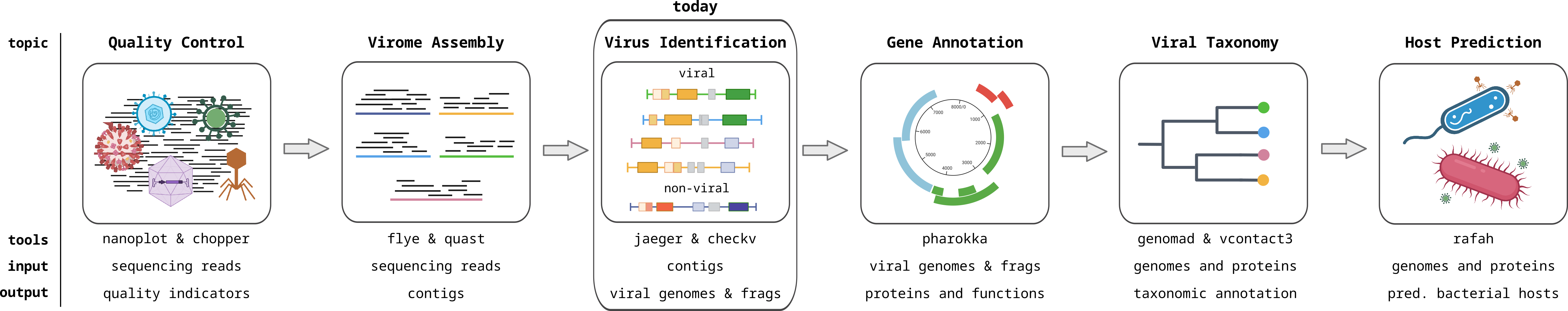 Viromics workflow