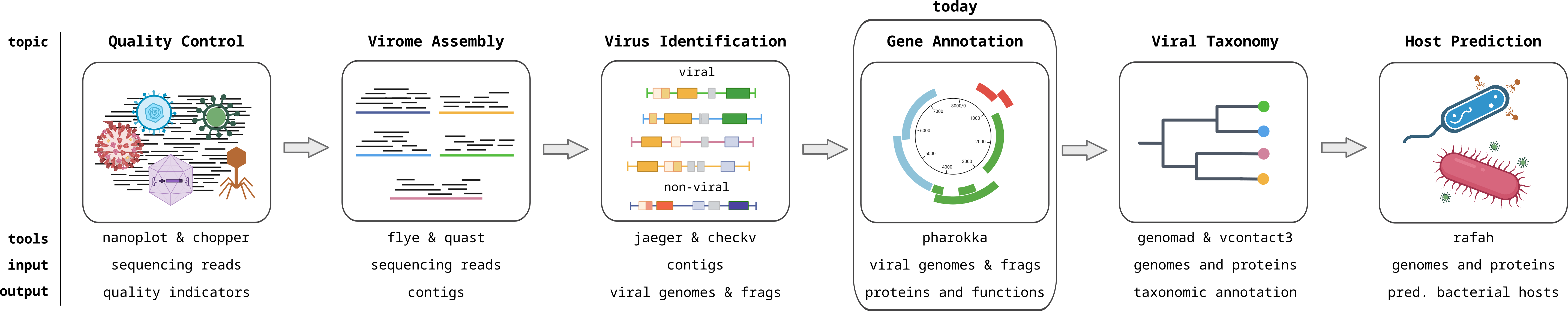 Viromics workflow