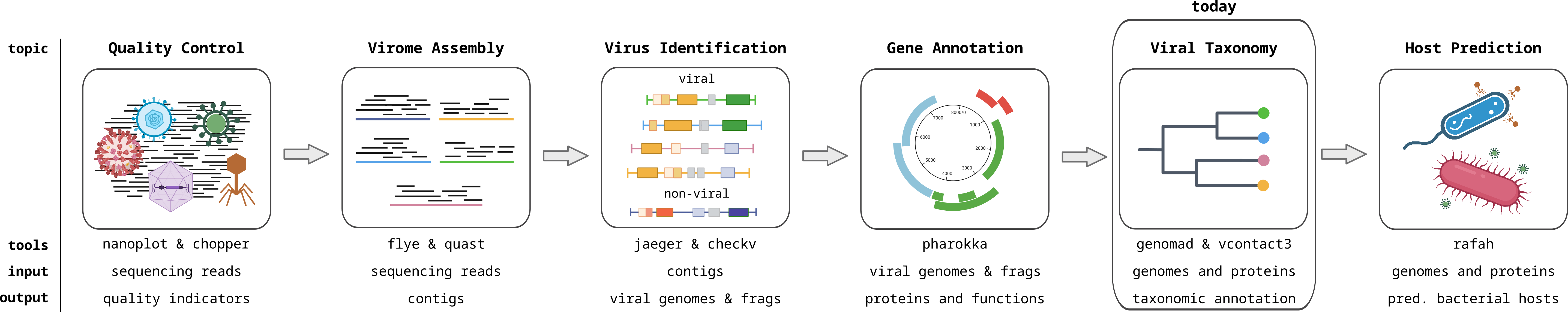 Viromics workflow