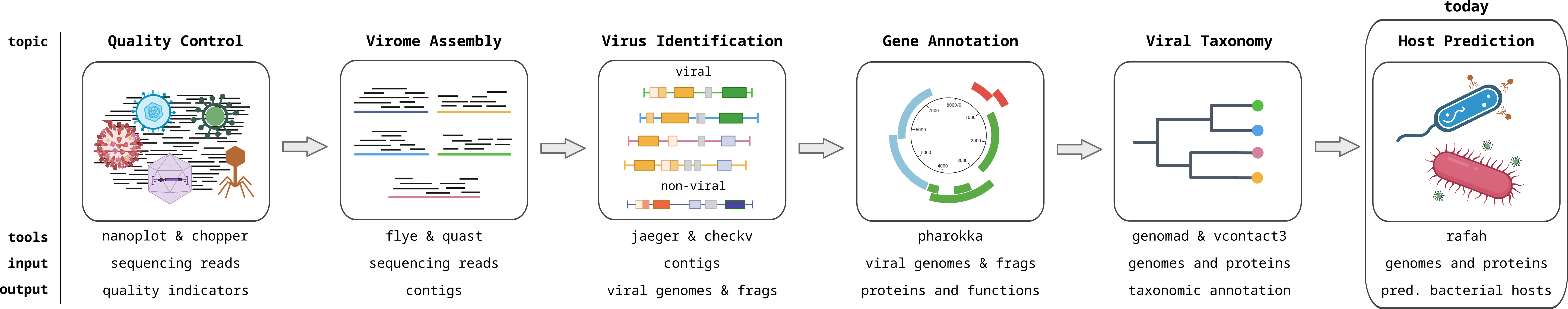 Viromics workflow