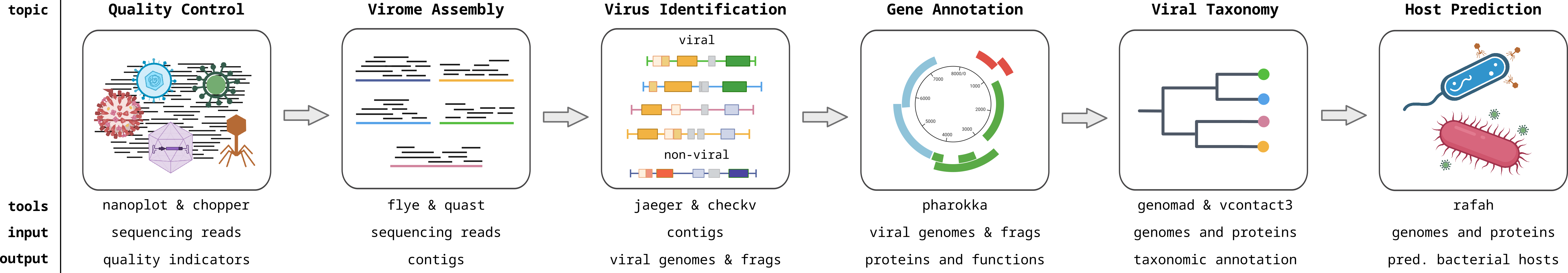 Viromics workflow